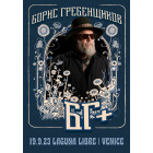 Борис Гребенщиков / БГ+
